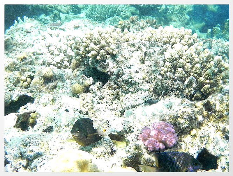 DSCN7927neu