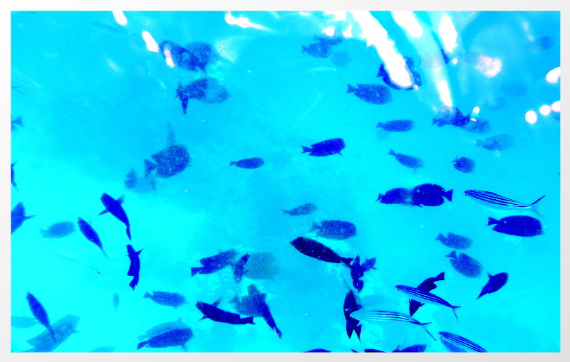 DSCN7936neu