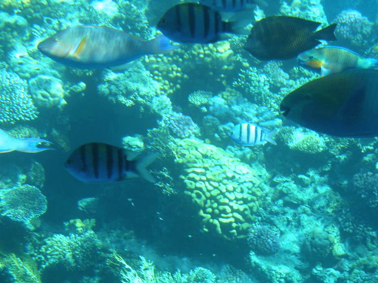 CIMG0264a
