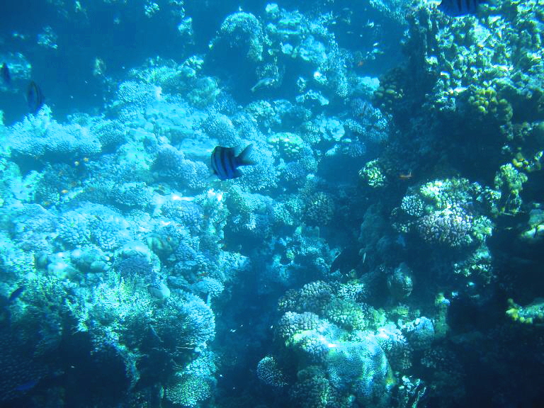 CIMG0269a