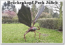 DSCN4201neu02