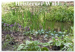 DSCN5506ab02