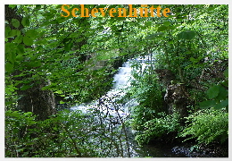 DSCN5628a02