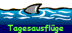Tagesausflge